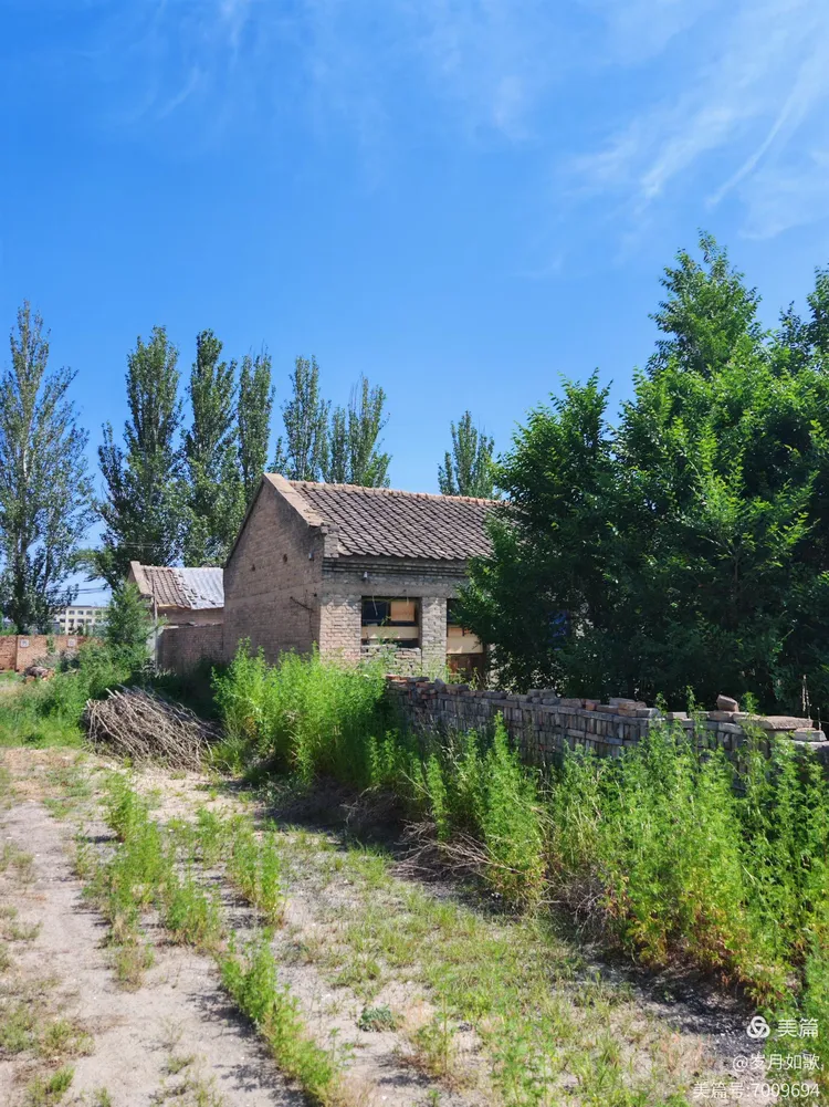 怀仁下寨农场:镌刻在岁月里的青春诗章